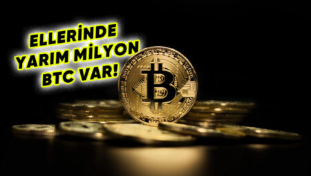 Vaktinde Türkiye’ye Bitcoin Tavsiyesi Veren Yatırımcının Şirketi, 1,1 Milyar Dolarlık Bitcoin Daha Aldı