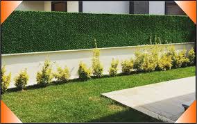 Çim Çit ile Doğal ve Estetik Mekânlar